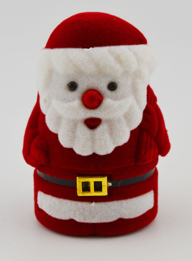 Belén de Natividad - Papá Noel (pic 3)
