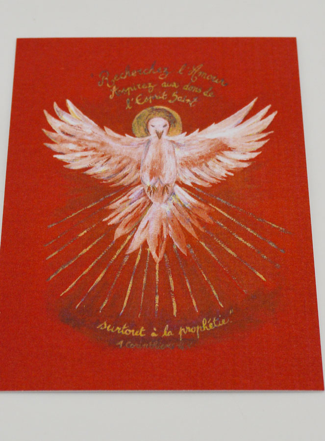 Imagen de la Confirmación Roja - Paloma del Espíritu Santo (pic 2)