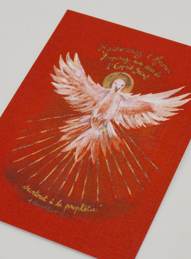 Imagen de la Confirmación Roja - Paloma del Espíritu Santo (pic 4)