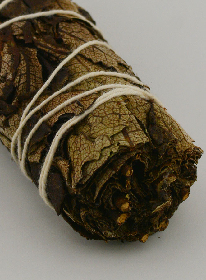 Salvia Negra (Artemisa) – Manojo de 30 g (pic 4)