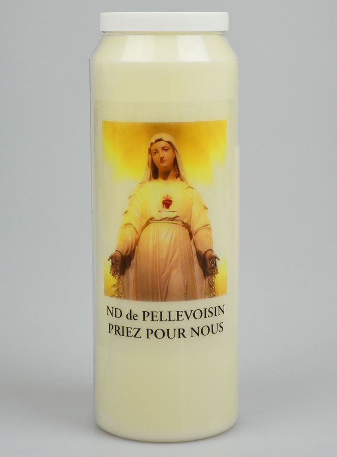Vela de Novena a Nuestra Señora de Pellevoisin (pic 1)