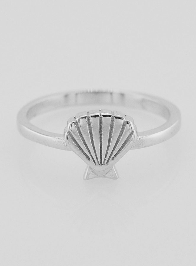 Anillo de concha de Santiago de Compostela - Talla 52 (pic 1)