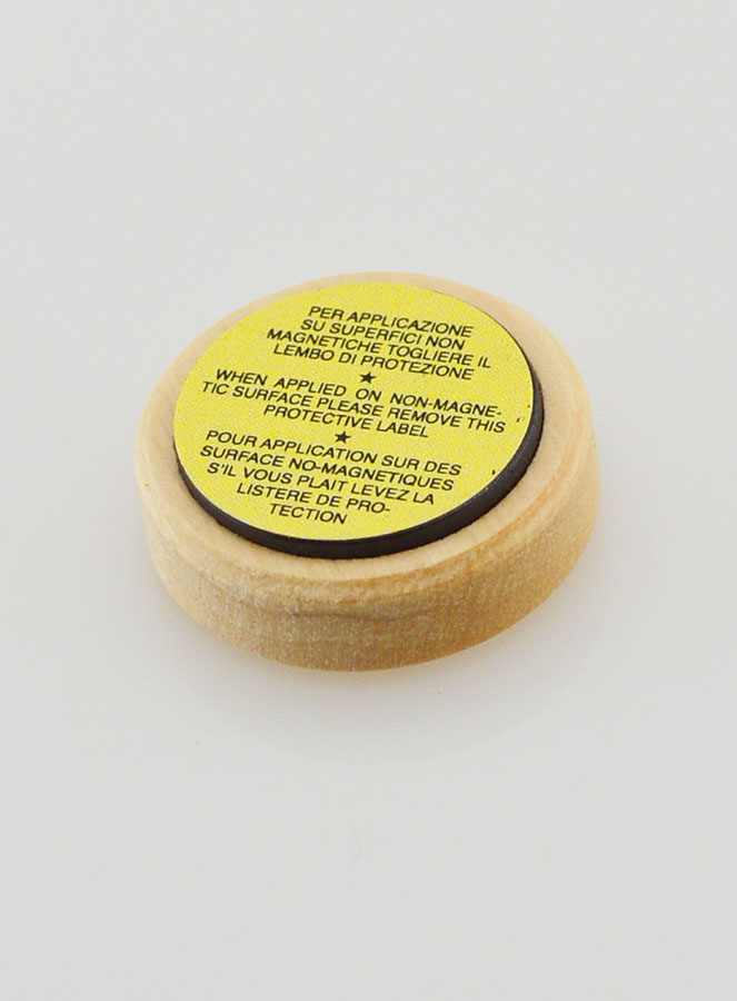 Placa Magnética para Carro de Santa Rita - 22mm (pic 4)