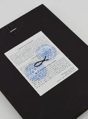 Icono Bizantino Virgen de la Vida - Pan de Oro - 17 cm