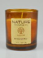 Vela Orgánica Colección Nature - Aroma Bosque Tropical - 8 X 7 cms
