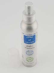 Perfume de Ambiente - Agua de Lourdes 100 ml