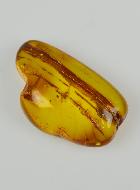 Piedra Laminada de ámbar báltico