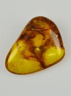 Piedra Laminada de ámbar báltico