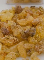 Incienso Religioso de Copal + Oración a San Francisco de Asís