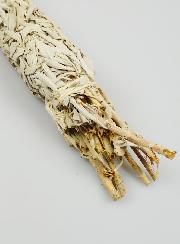 Gran manojo de salvia blanca – 50 cm