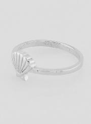 Anillo de plata con concha de Santiago de Compostela - Talla 56