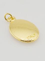 Medalha do Papa Francisco Dourada - 25mm