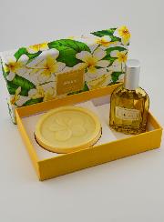Conjunto de Verão Monoï