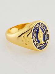 Anillo tipo sello de la Virgen Milagrosa con fondo azul - Talla 54