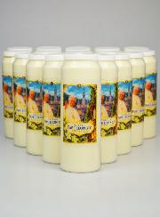 Conjunto de 20 Velas de Novena Papa Leão XIV em Lourdes